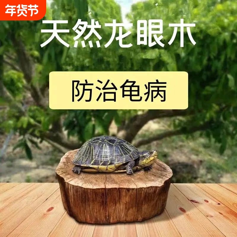 乌龟晒台龙眼木晒背台爬台沉木鱼缸造景摆件龙眼叶客厅桌面生态,宠物/宠物食品及用品,桌面缸,淘宝优惠券,粉丝福利购,淘宝优惠卷