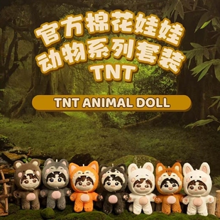 正版时代少年团TNT全套3.0属性10厘米棉花娃娃新年礼物娃衣公仔