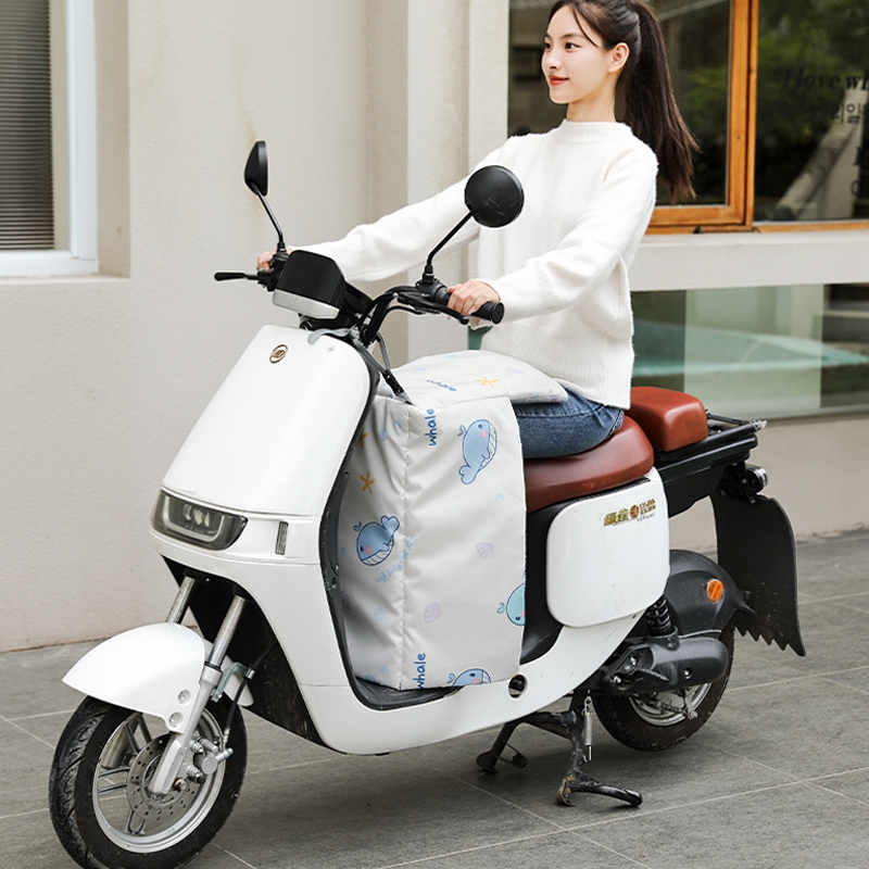 电动车前挡风被冬季加绒加厚冬天护腿部护膝九号冬款踏板防风防水