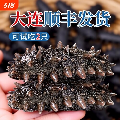 即食海参正品官方旗舰店【大连顺丰发货】独立包装袋一斤辽刺参