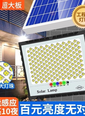 太阳能照明灯户外庭院灯家用led室内院灯新农村自动亮路灯一拖二