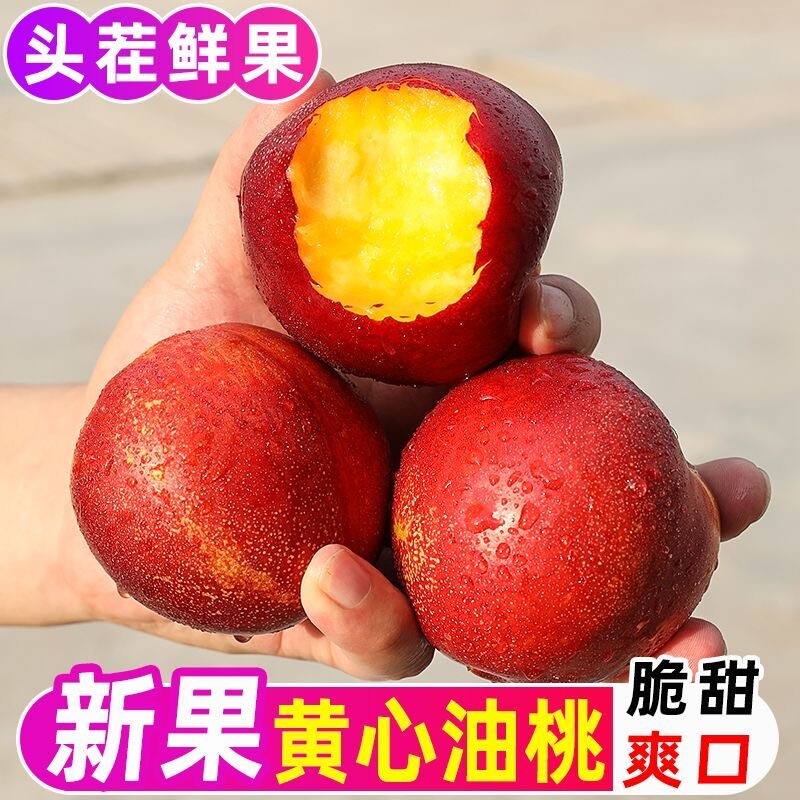 2026年头茬油桃现摘红油桃子新鲜水果脆甜应季黄肉油桃现货现发