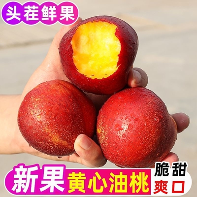 2026年头茬油桃现摘红油桃子新鲜水果脆甜应季黄肉油桃现货现发