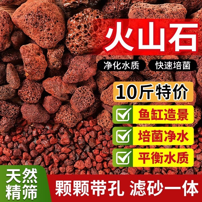 红火山石颗粒火山岩铺底铺面兰花专用土多肉营养土水族鱼缸垫底砂
