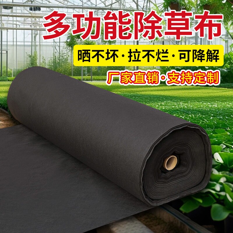 德国防草布绿黑除草布加厚耐用图片