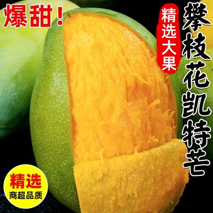 现摘攀枝花凯特芒果新鲜水果整箱10应季大芒果包邮孕妇当季大果