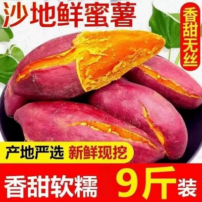 新鲜蜜薯沙地糖心黄心地瓜农家自种红心番薯板栗红薯山芋软糯香甜