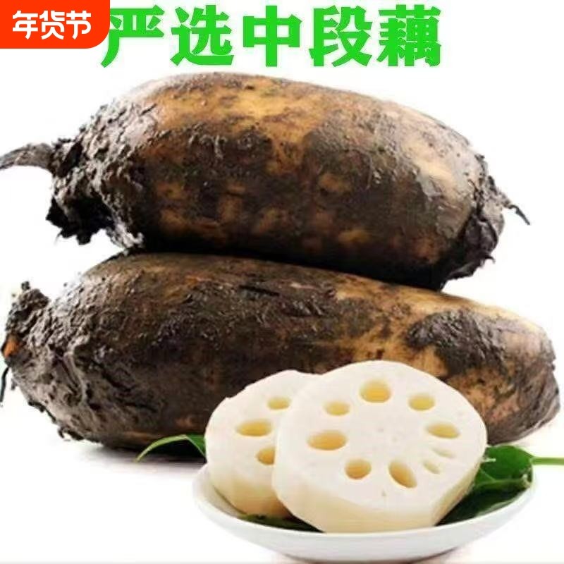 湖北洪湖粉藕软糯藕面藕营养炖煲汤炖肉现挖现发新鲜莲藕孕妇营养,水产肉类/新鲜蔬果/熟食,莲藕,淘宝优惠券,粉丝福利购,淘宝优惠卷