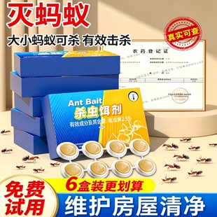 蚂蚁药家用全窝除蚁灭蚁饵室内蚂蚁胶饵专用杀蚂蚁药虫剂呋虫胺