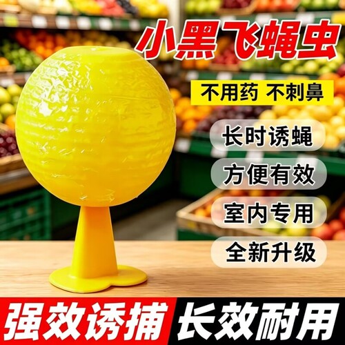 果蝇诱捕器小飞虫灭杀神器