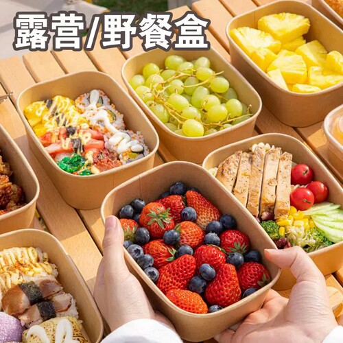 春游野餐便当盒露营水果甜品打包