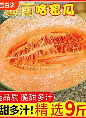 正宗海南哈密瓜吐鲁番西州蜜25号当应季新鲜水果网纹甜瓜整箱包邮