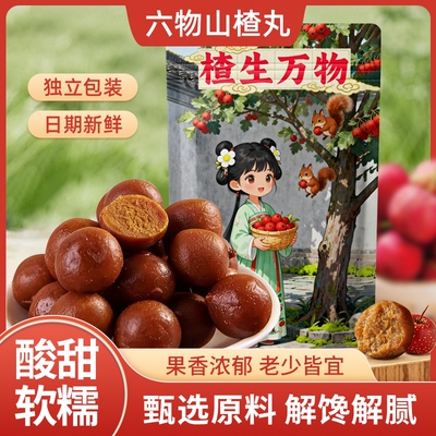 六物山楂丸儿童解馋蜜饯果脯零食酸甜即食独立小包装陈皮茯苓山药