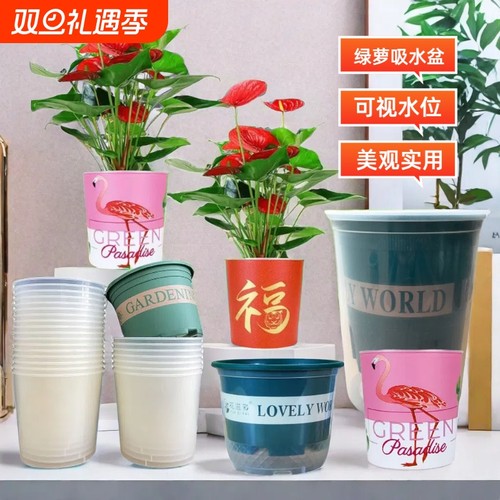 懒人绿萝绿植自动吸水储水盆