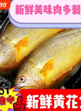 冷冻黄花鱼大黄鱼深海新鲜冰冻海鲜水产批发鱼肉一斤速冻