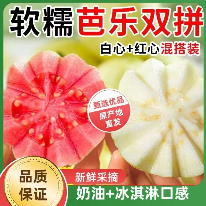 广西软糯红心白心芭乐双拼5斤新鲜水果番石榴脆甜软糯胭脂红巴乐