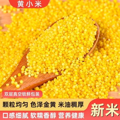 优质小米黄小米粥新米五谷杂粮正宗农家小黄米营养粥食材便宜新货