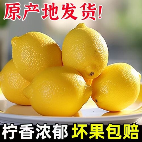 四川安岳黄柠檬当季现摘皮薄多汁