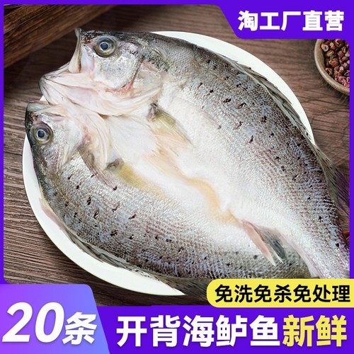 新鲜冷冻海鲈鱼|超3000次加购