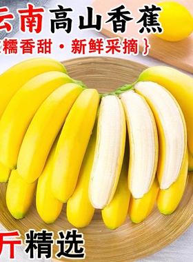 云南高山甜蕉新鲜水果香蕉产地直发青蕉发货大香蕉新鲜现砍现发