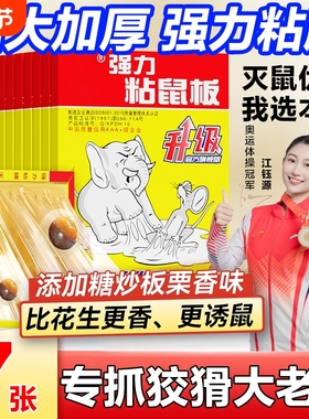 粘鼠板老鼠粘强力胶粘大老鼠贴家用正品扑捉器灭捕鼠爆款神器超强