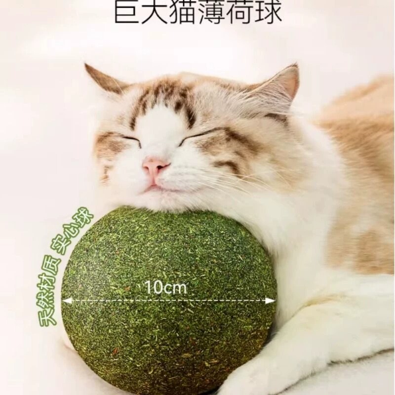 超大猫薄荷球猫玩具自嗨解闷磨牙耐咬洁齿猫草球发声猫猫解压实心
