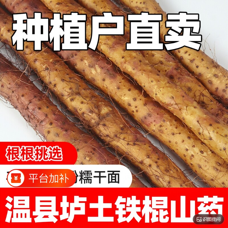 正宗河南焦作温县铁棍山药淮山怀山药新鲜粉糯长特产农家红皮