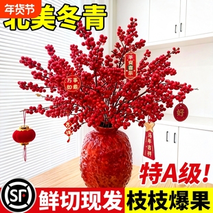 北美冬青红果水培鲜花鲜切新年盆栽室内银柳真花鲜枝年宵花卉水养
