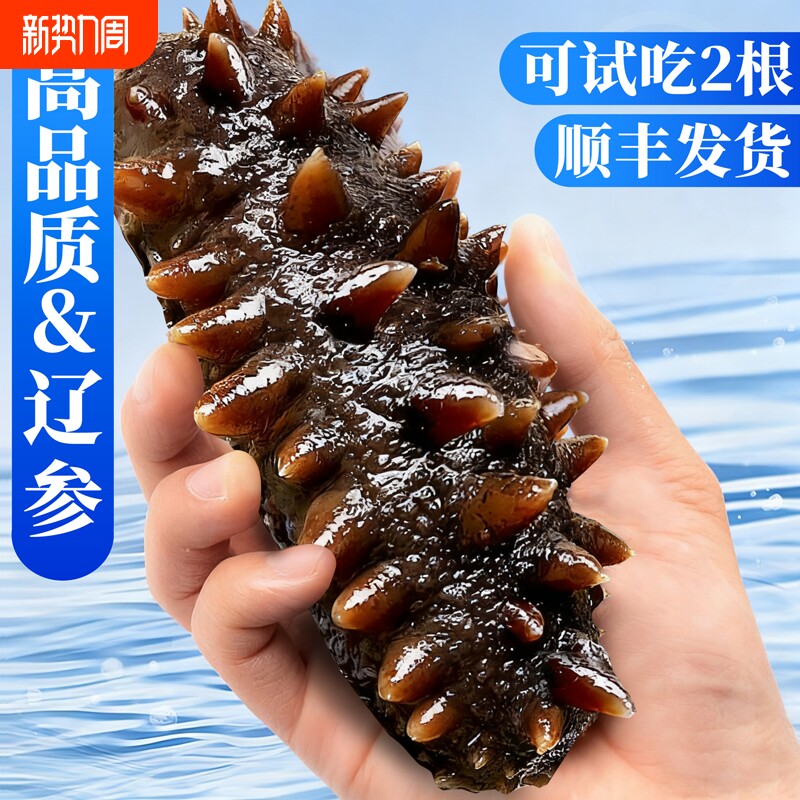 即食海参干货500g特价大连鲜活鲜食辽参海生叁孕妇刺参礼盒单个装