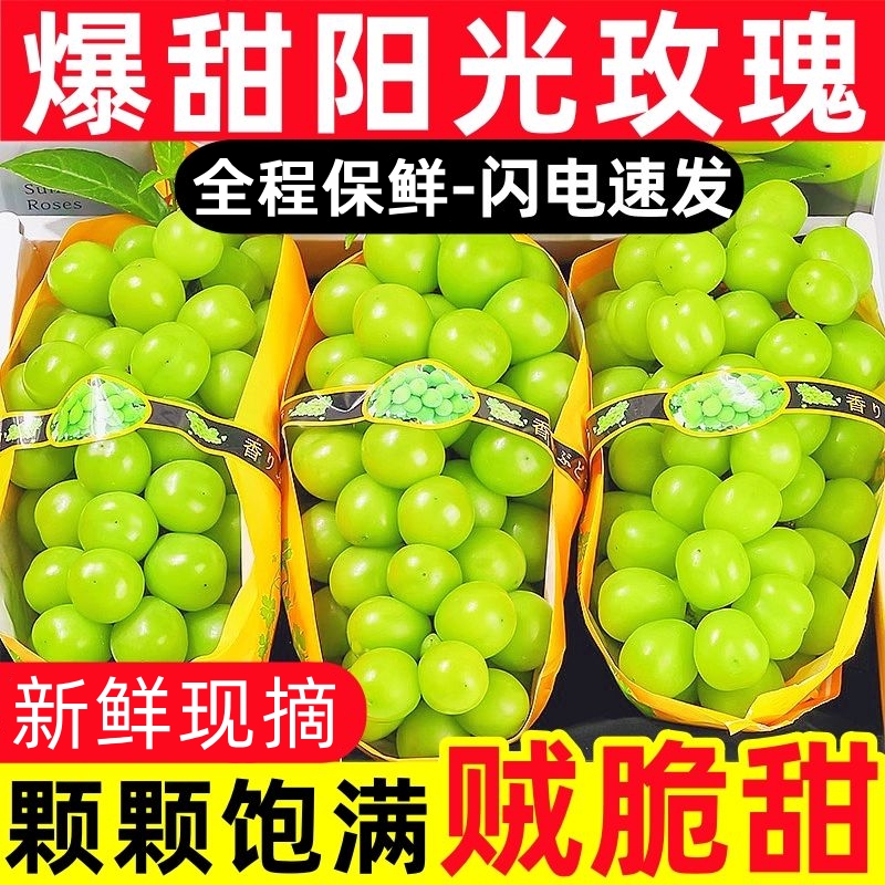 脆甜阳光玫瑰葡萄|超1000次加购