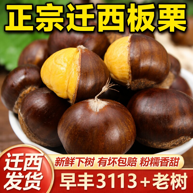 板栗2025年河北迁西现摘生新鲜带壳油栗野生毛栗子产地去皮熟食