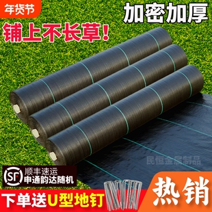 果树防草布耐用园艺地布遮草布盖草布地布隔草布果园防草长地膜