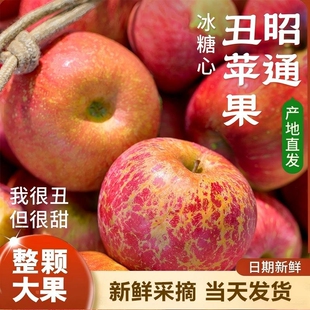 云南昭通丑苹果正宗冰糖心红富士新鲜水果应季 整箱10斤大绍通 当季