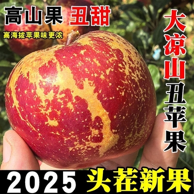 【大凉山盐源直发】四川盐源丑苹果冰糖心新鲜水果盐源苹果