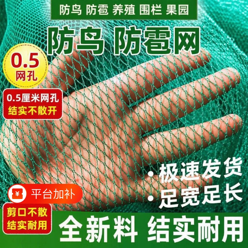 农用蔬菜种植网无结网养鸡网防鸟网养殖网尼龙网果树网冰雹网渔网