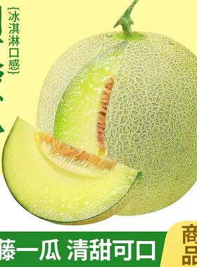 清香甜软糯山东玫珑网纹瓜冰淇淋