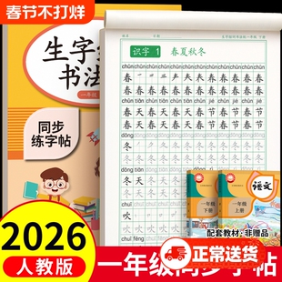 2026新版一年级字帖下册练字帖小学生专用三四五六人教版同步练字语文一二类字硬笔书法笔画笔顺生字组词控笔训练每日一练作文拼音