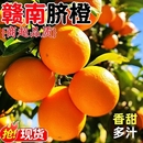 包邮 江西赣南脐橙橙子新鲜水果甜果冻冰糖手剥橙当季 整箱大果9斤