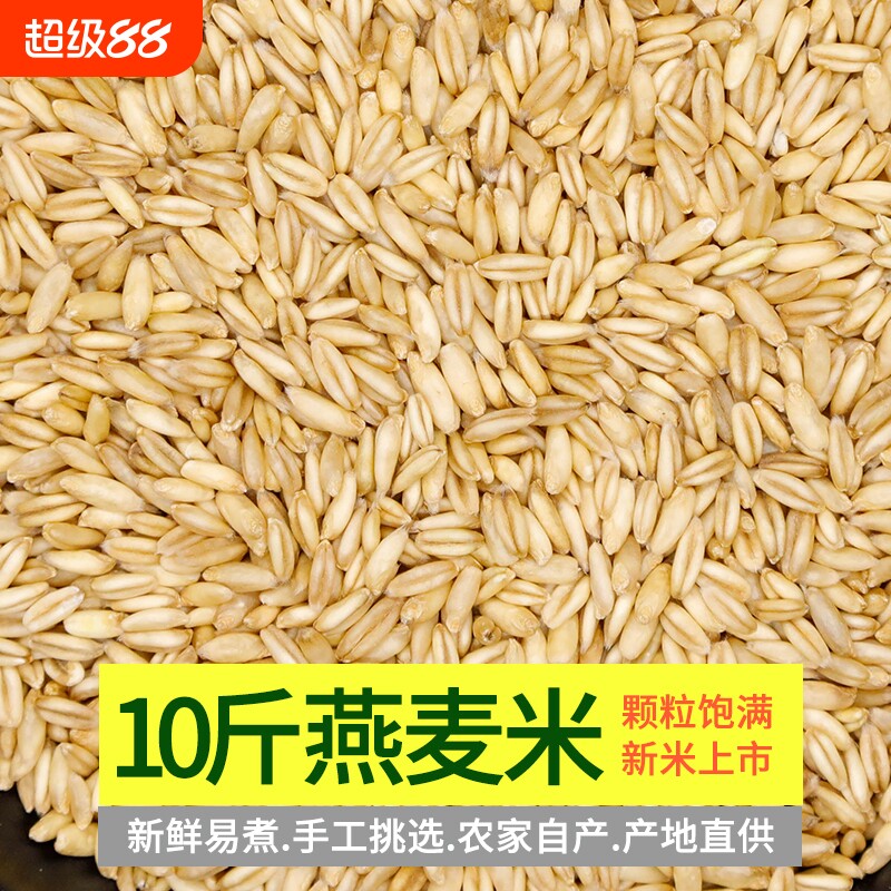 东北粗粮燕麦米10斤当季新米胚芽米生燕麦仁米去皮莜麦米仁莜麦粒图片