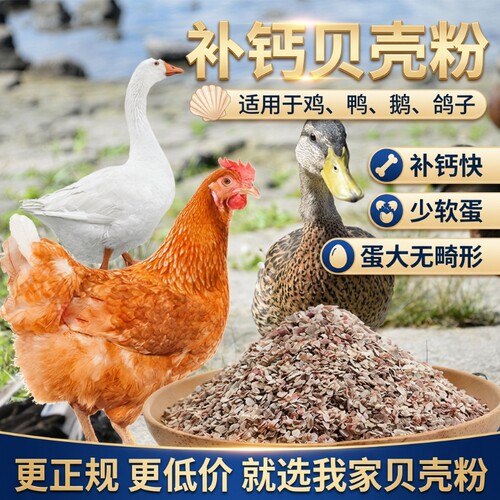 高钙贝壳粉饲料颗粒|千人加购