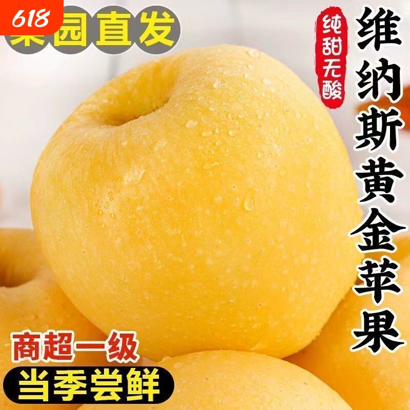 山东维纳斯黄金苹果当季新鲜水果奶油富士苹果丑苹果冰糖心脆甜