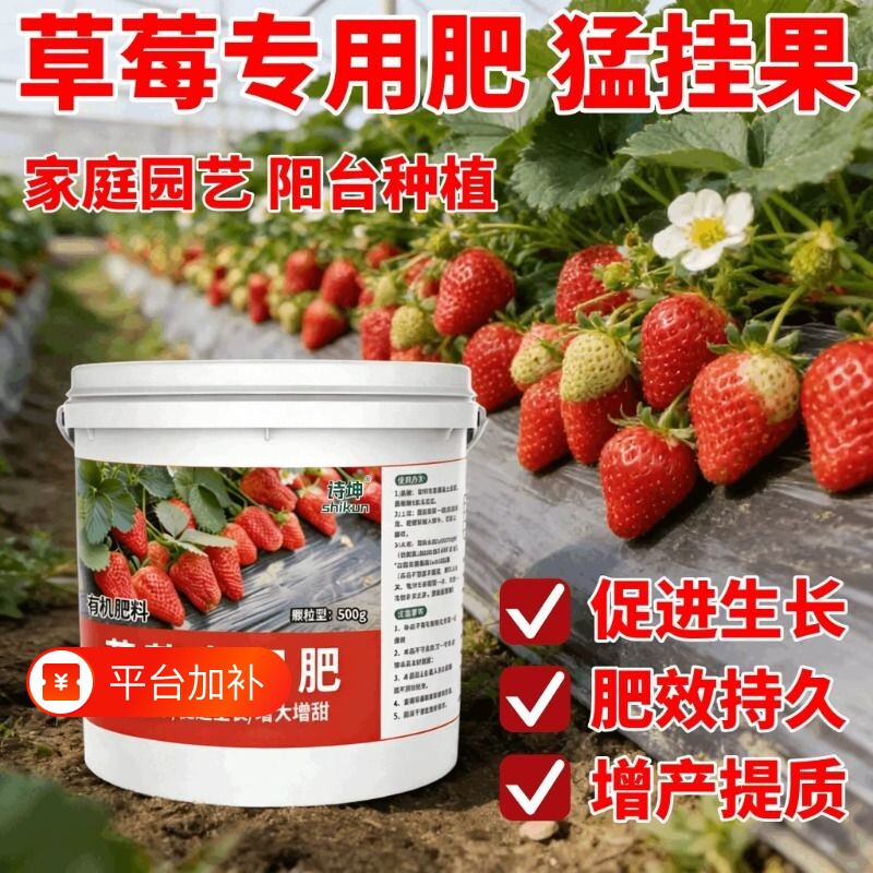 草莓专用肥营养膨果增大专用肥料生根稀释壮苗家用草莓盆栽生长期