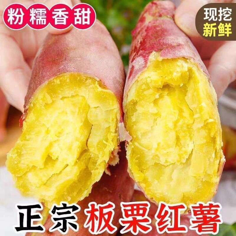 板栗薯2026年现挖板栗红薯农家自种沙地番薯软糯香甜蜜薯地瓜新鲜