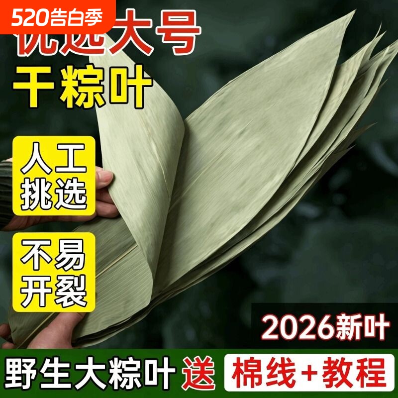 干粽叶大码粽子叶免邮新鲜麻竹箬叶商家用包粽子材料端午批发送绳