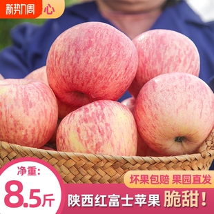 正宗陕西红富士8.5斤苹果水果脆甜冰糖心新鲜水果整箱 爆甜