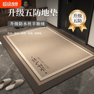 地垫入户门进门地毯门口家用门垫防滑客厅轻奢高级玄关脚垫可裁剪