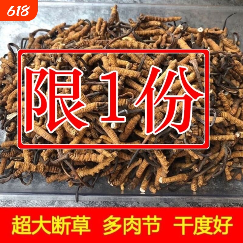 断的虫草西藏冬虫夏草断草超大虫草特价冬虫夏草