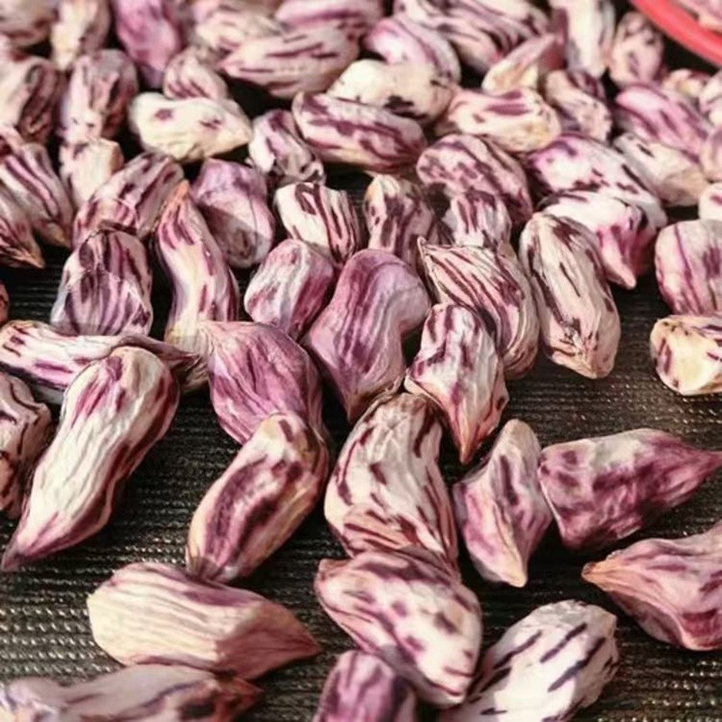 2025年云南七彩花生米小秕仁无壳五彩花生米晒干瘪七彩花生米