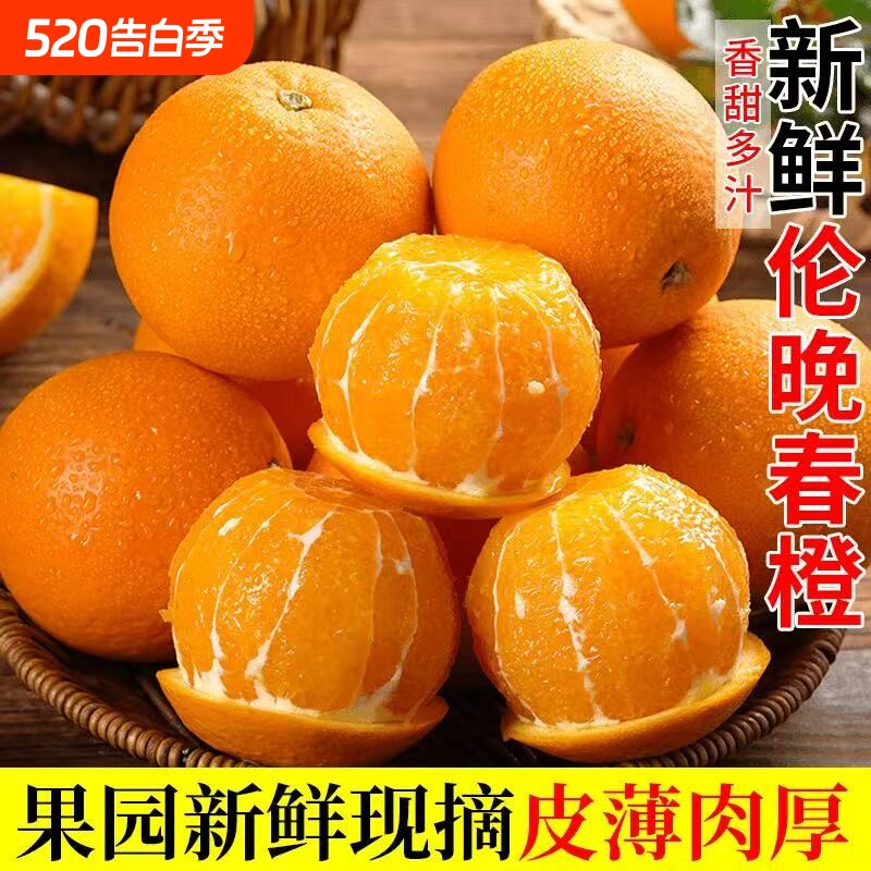 正宗湖北宜昌脐橙新鲜橙子10斤大果当季水果孕妇现发产地生鲜阳光