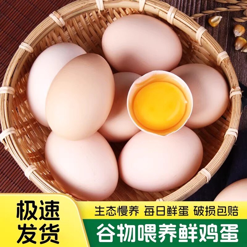 新鲜鸡蛋农家散养土正宗笨鸡蛋现捡现发柴鸡蛋大个鸡蛋谷物蛋整箱